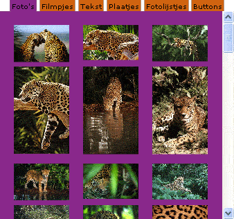 SOS jaguar media library