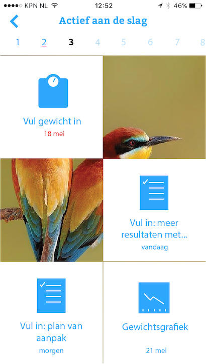 Visual design task list